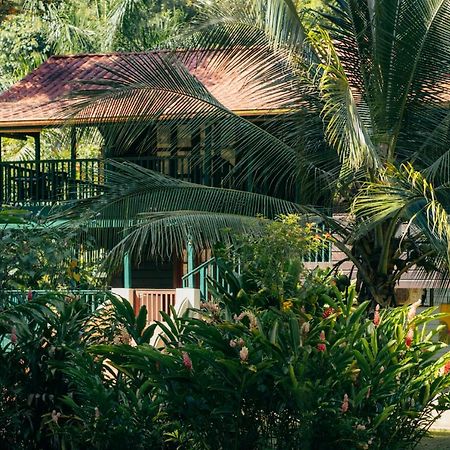 Casa De Mono Bocas Bed & Breakfast Big Creek Exterior foto