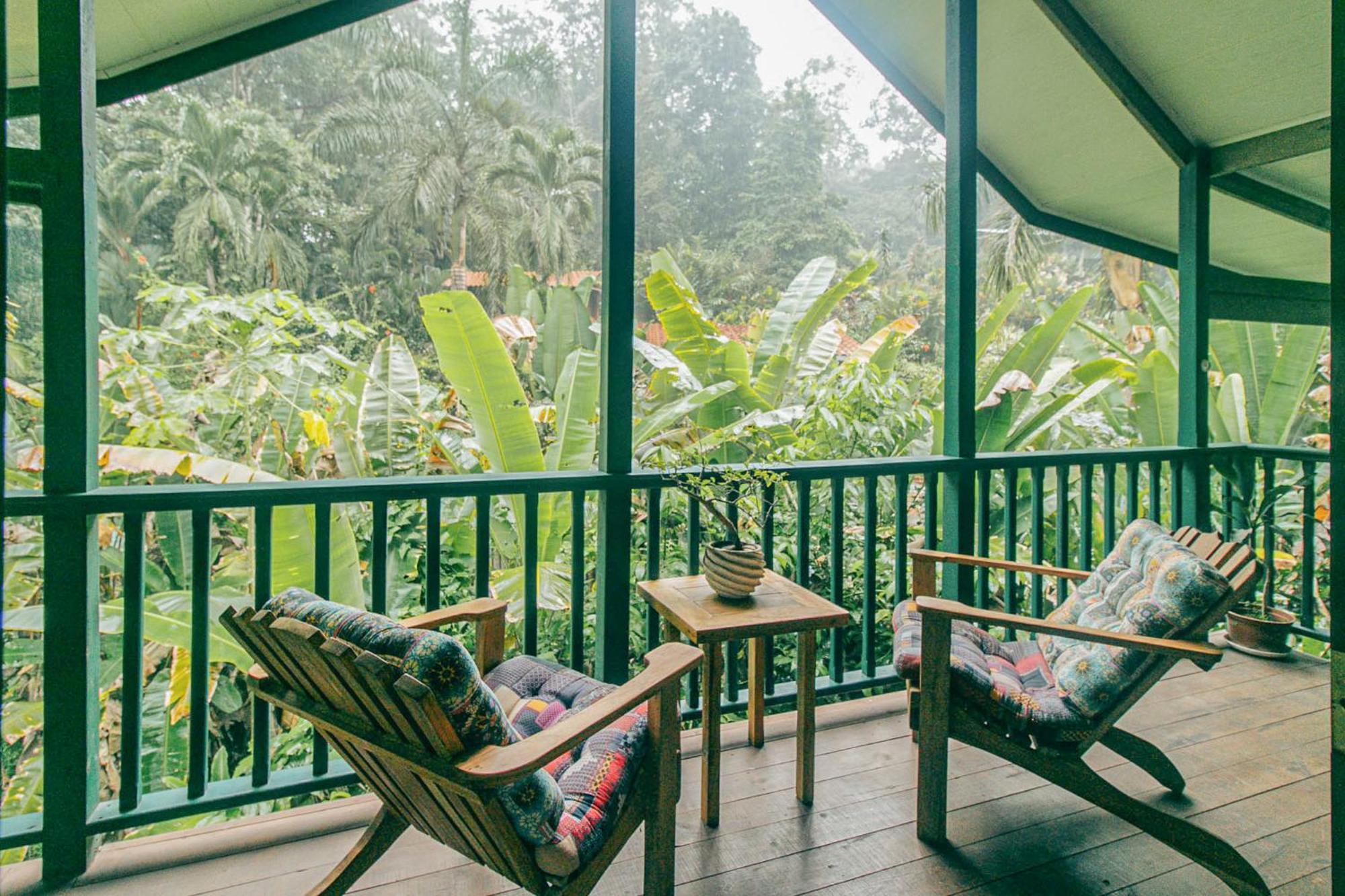 Casa De Mono Bocas Bed & Breakfast Big Creek Exterior foto