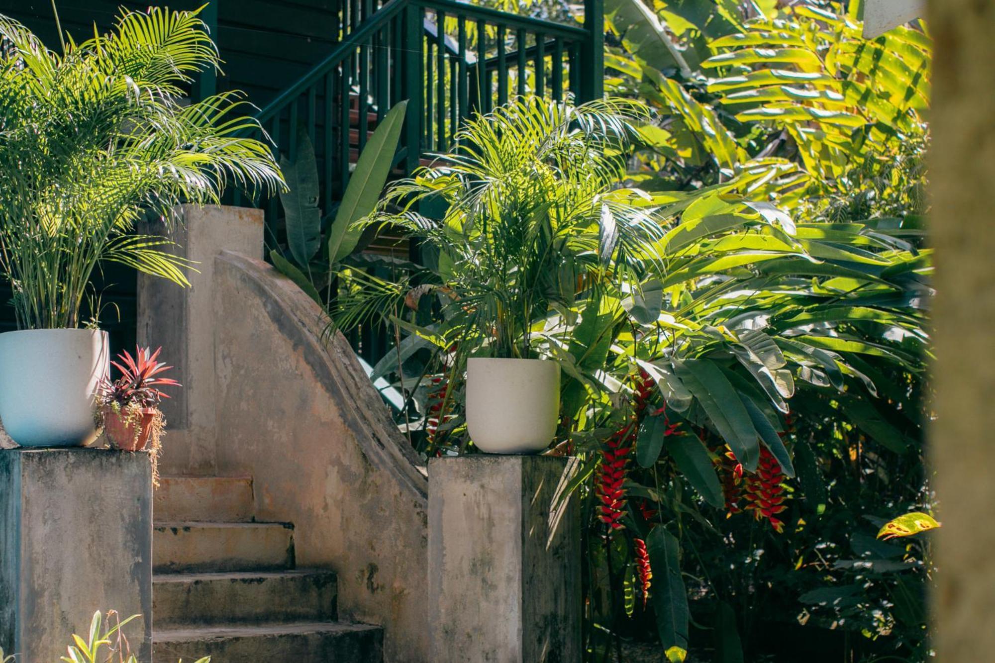 Casa De Mono Bocas Bed & Breakfast Big Creek Exterior foto