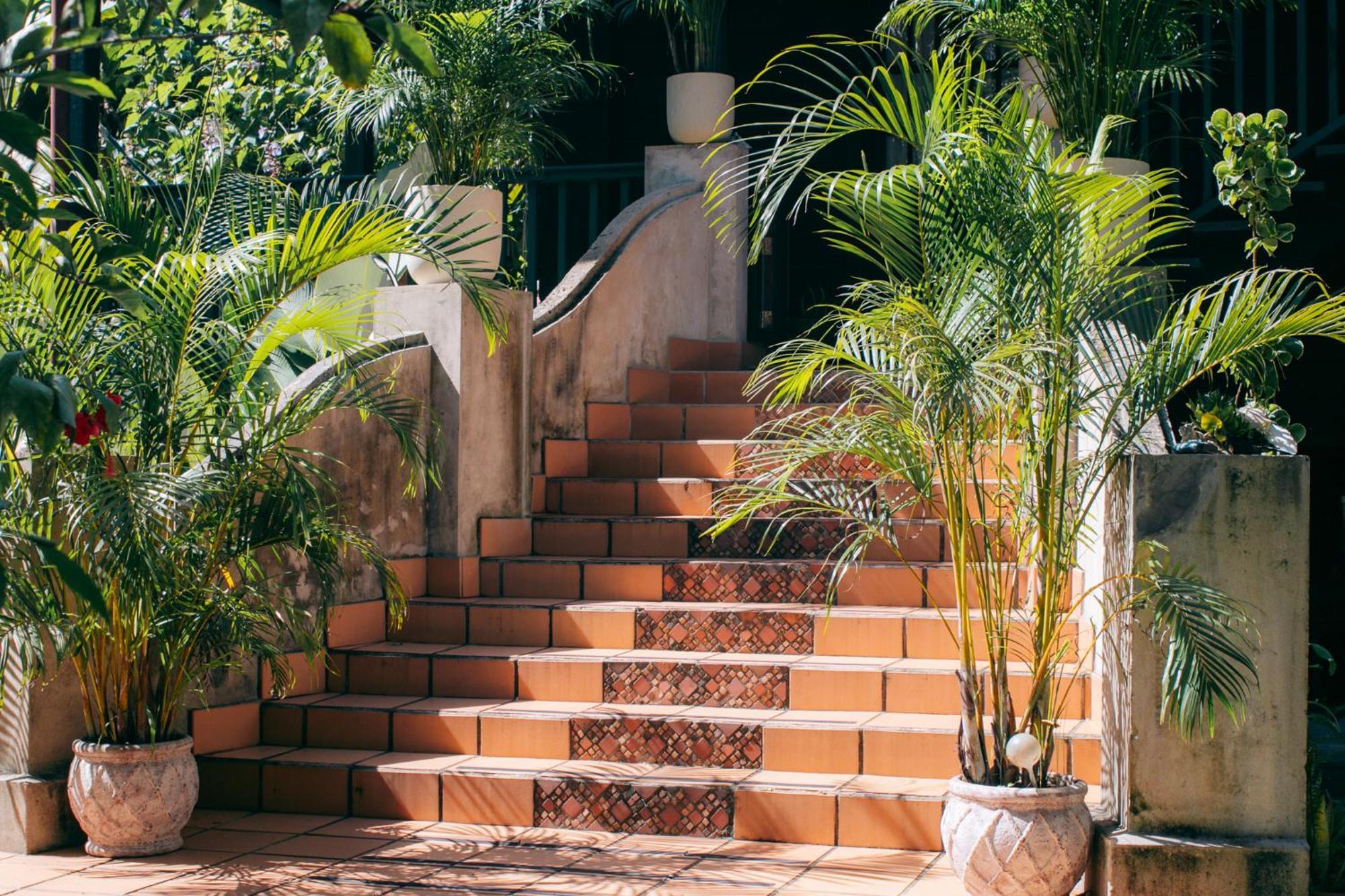 Casa De Mono Bocas Bed & Breakfast Big Creek Exterior foto