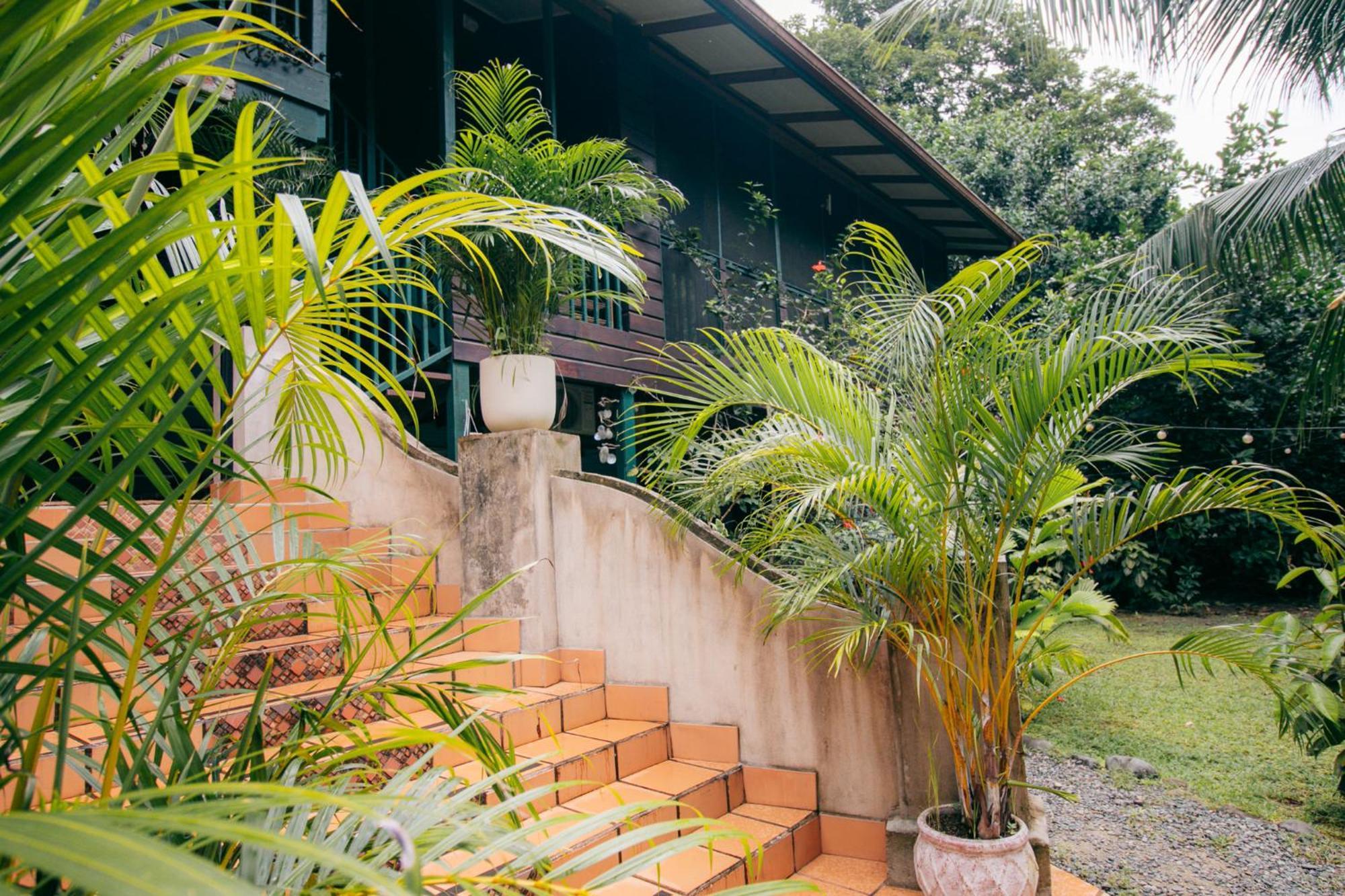 Casa De Mono Bocas Bed & Breakfast Big Creek Exterior foto