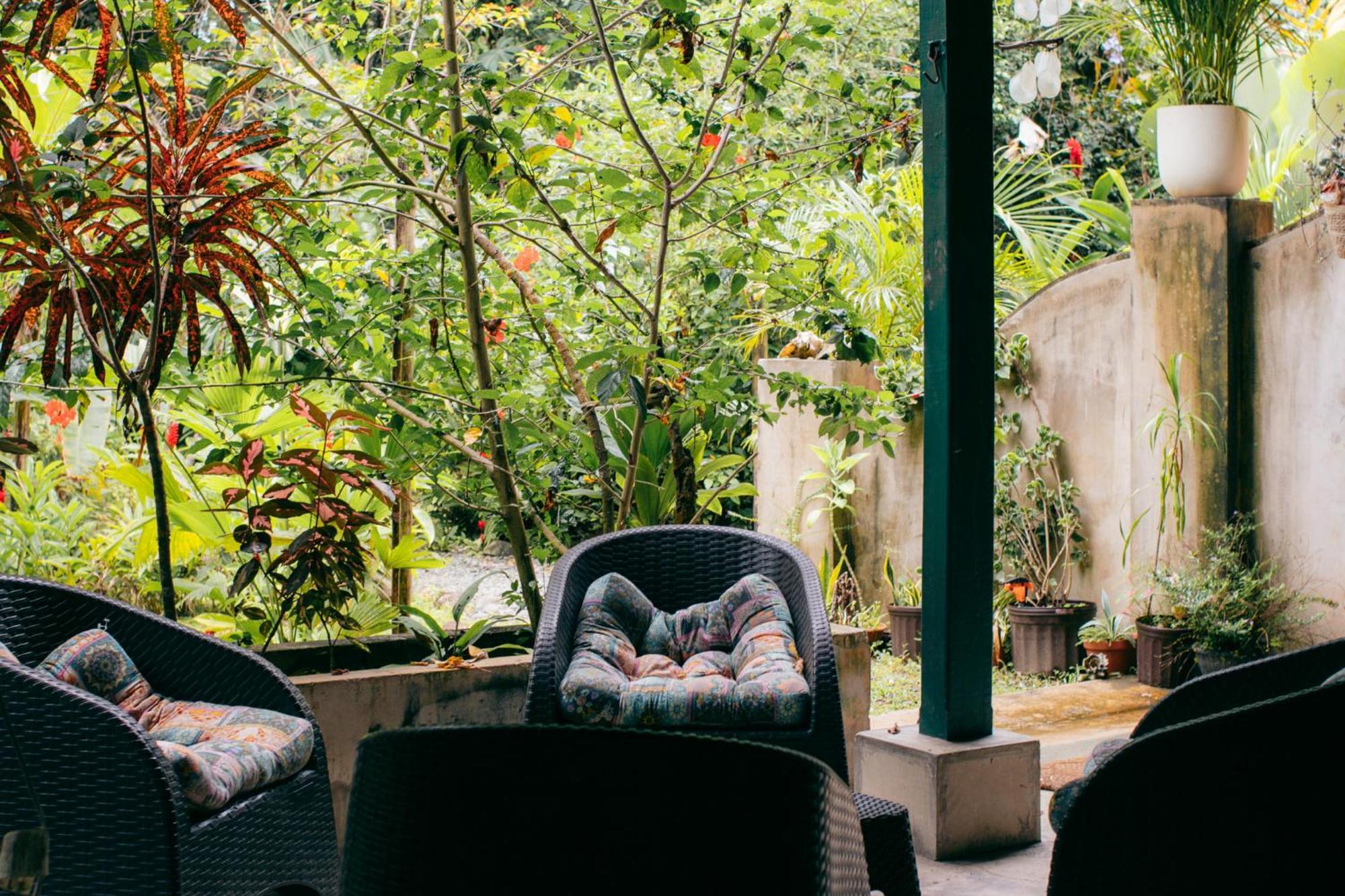 Casa De Mono Bocas Bed & Breakfast Big Creek Exterior foto
