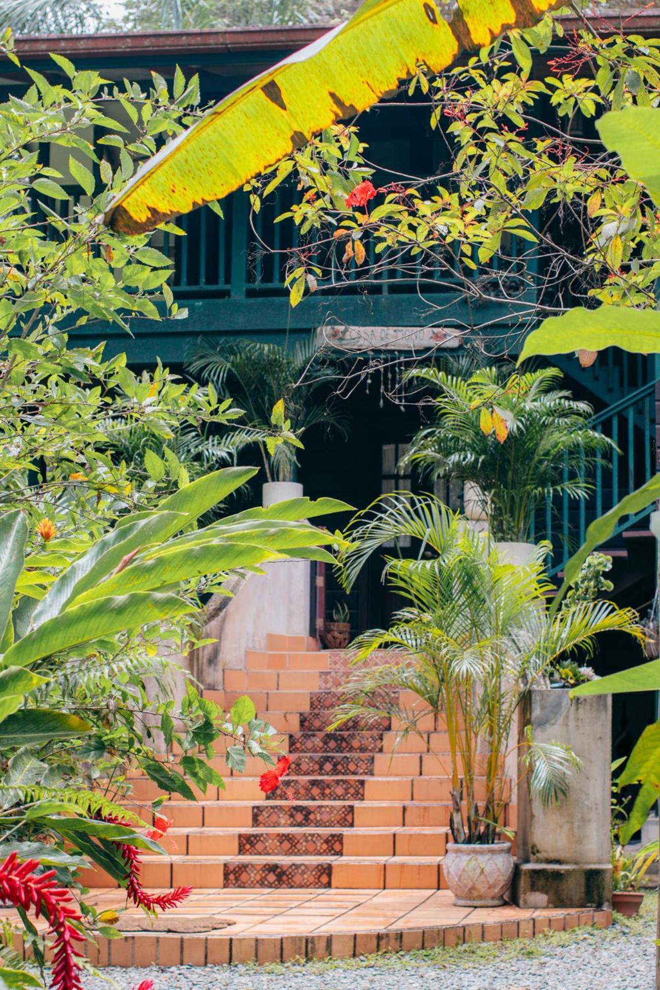 Casa De Mono Bocas Bed & Breakfast Big Creek Exterior foto